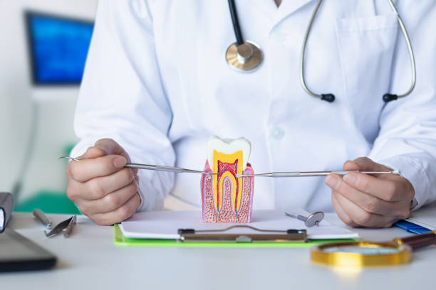Best Emergency Wisdom Tooth Extraction in Oshkosh, WI